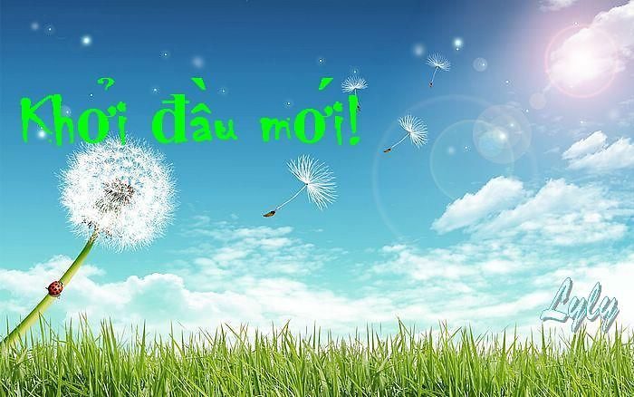cho-mot-khoi-dau-moi-nguyenvanhau.net