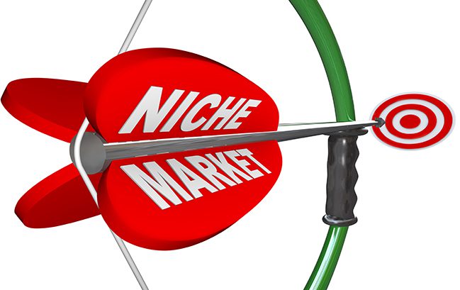 niche-nguyenvanhau.net